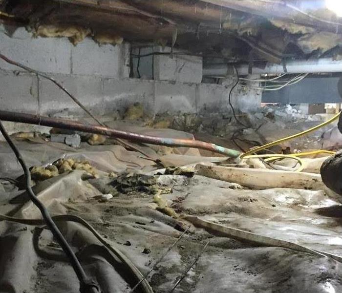 Cats Invade Crawl Space and Leave it A Mess!